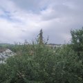Webcam_20210805-163000