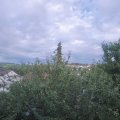 Webcam_20210805-180000