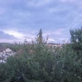 Webcam_20210805-190000