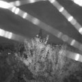 Webcam_20210805-204500
