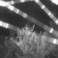 Webcam_20210805-211500