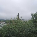 Webcam_20210806-084500