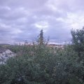 Webcam_20210806-193000