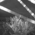 Webcam_20210806-204500