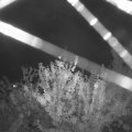 Webcam_20210806-211500
