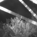 Webcam_20210806-213000