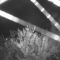 Webcam_20210806-214500