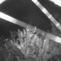 Webcam_20210807-210000