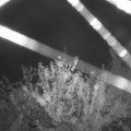 Webcam_20210807-220000