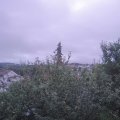 Webcam_20210808-053000