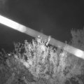 Webcam_20210808-210000