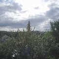 Webcam_20210809-091500