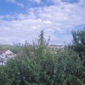 Webcam_20210809-163000