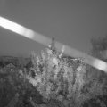 Webcam_20210809-203000