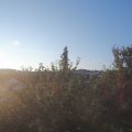 Webcam_20210811-054500