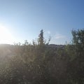 Webcam_20210811-061500