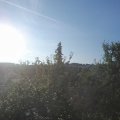 Webcam_20210811-064500