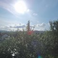 Webcam_20210811-081500
