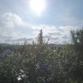 Webcam_20210811-084500