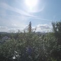 Webcam_20210811-090000