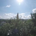 Webcam_20210811-091500