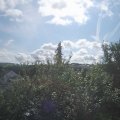 Webcam_20210811-093000