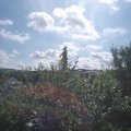 Webcam_20210811-094500