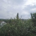 Webcam_20210812-113000