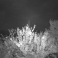Webcam_20210812-204500