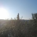 Webcam_20210813-064500