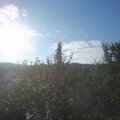 Webcam_20210814-070000