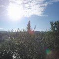 Webcam_20210814-074500