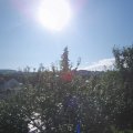 Webcam_20210814-083000