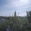 Webcam_20210815-101500