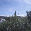 Webcam_20210815-113000