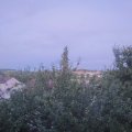 Webcam_20210815-200000
