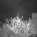 Webcam_20210815-210000