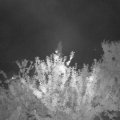 Webcam_20210815-211500