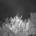 Webcam_20210817-204500
