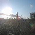 Webcam_20210824-071500
