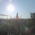 Webcam_20210824-074500