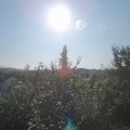Webcam_20210824-083000