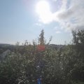 Webcam_20210824-084500