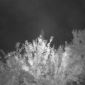 Webcam_20210825-204500