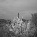 Webcam_20210828-194500
