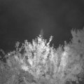 Webcam_20210828-201500