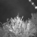Webcam_20210829-201500