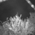 Webcam_20210830-204500