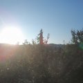 Webcam_20210902-064500
