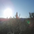 Webcam_20210902-071500
